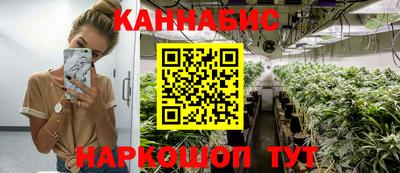 дмт Владивосток