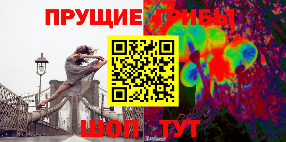 Псилоцибиновые грибы мицелий  Вход с VPN  где купить наркоту  Владикавказ 