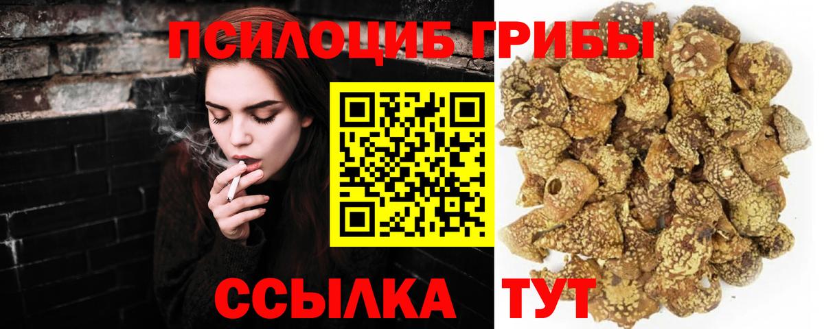 Галлюциногенные грибы ЛСД Владикавказ